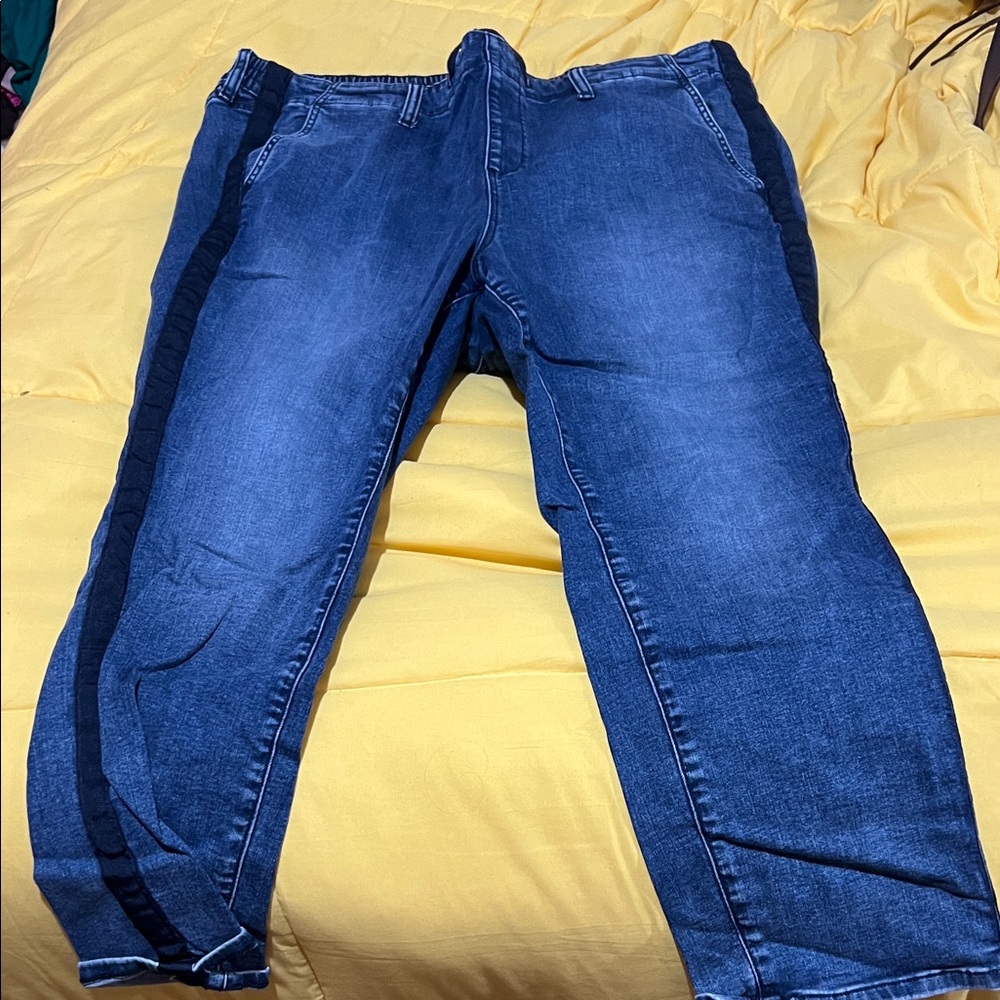 Torrid Women's Skinny Blue Jeans with Black Stripe